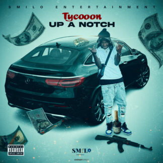 Tycooon Up A Notch cover artwork